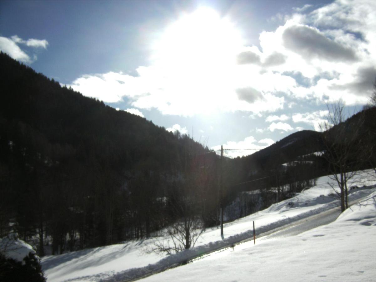 Chalet ?Snow Bunny? Stadl an der Mur Екстер'єр фото